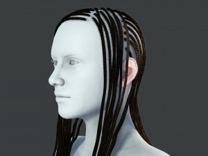 Realistic Braid Hair Rasta Low-poly Model 3D