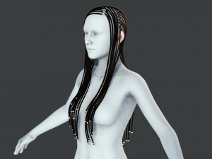 Realistic Braid Hair Rasta Low-poly Model 3D