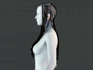 Realistic Braid Hair Rasta Low-poly Model 3D