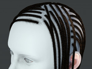 Realistic Braid Hair Rasta Low-poly Model 3D