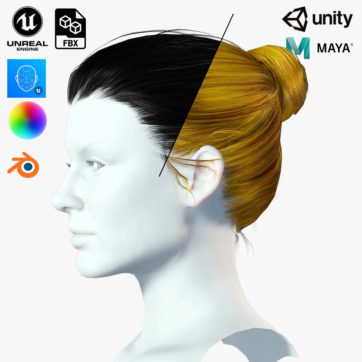 Realistic Female hair low-poly 3D Model .c4d .max .obj .3ds .fbx .stl .blend