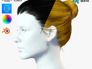 Realistic Female hair low-poly Model 3D