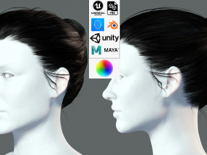 Realistic Female hair low-poly Modello 3D