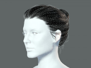 Realistic Female hair low-poly Modello 3D