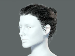 Realistic Female hair low-poly 3D Model