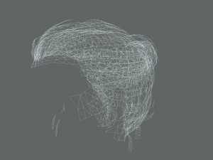 Realistic Female hair low-poly Modello 3D