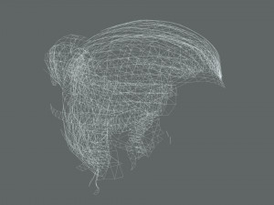 Realistic Female hair low-poly Modello 3D