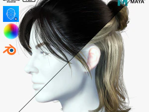 リアルな女性の髪カード 2 ローポリ 3Dモデル