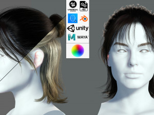 Realistic Female hair card 2 Low-poly 3D Model