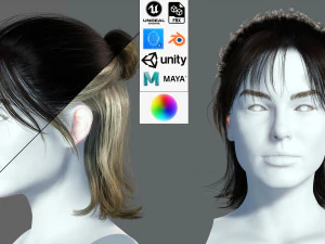 Realistic Female hair card 2 Low-poly 3D Model