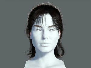 Realistic Female hair card 2 Low-poly 3D Model