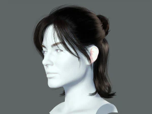 Realistic Female hair card 2 Low-poly 3D Model