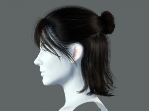 Realistic Female hair card 2 Low-poly 3D Model