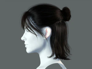 Realistic Female hair card 2 Low-poly 3D Model
