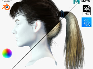 Realistic Female hair card 4 Low-poly 3D Model