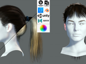 Realistic Female hair card 4 Low-poly 3D Model