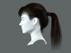 Realistic Female hair card 4 Low-poly 3D Model