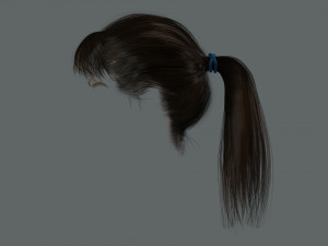 Realistic Female hair card 4 Low-poly 3D Model