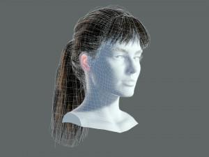 Realistic Female hair card 4 Low-poly 3D Model