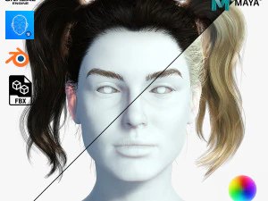 현실적인 여성 헤어 5 게임 카드 로우 폴리 3D 모델