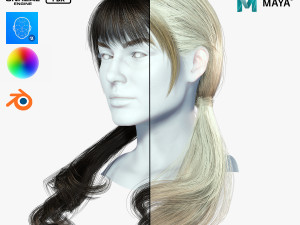 Realistic Female hair 6 colorable Card Low-poly 3D Model