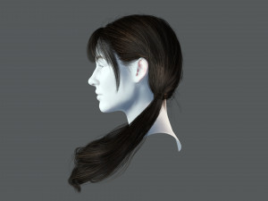 Realistic Female hair 6 colorable Card Low-poly 3D Model