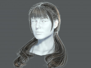 Realistic Female hair 6 colorable Card Low-poly 3D Model