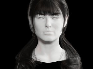 Realistic Female hair 6 colorable Card Low-poly 3D Model