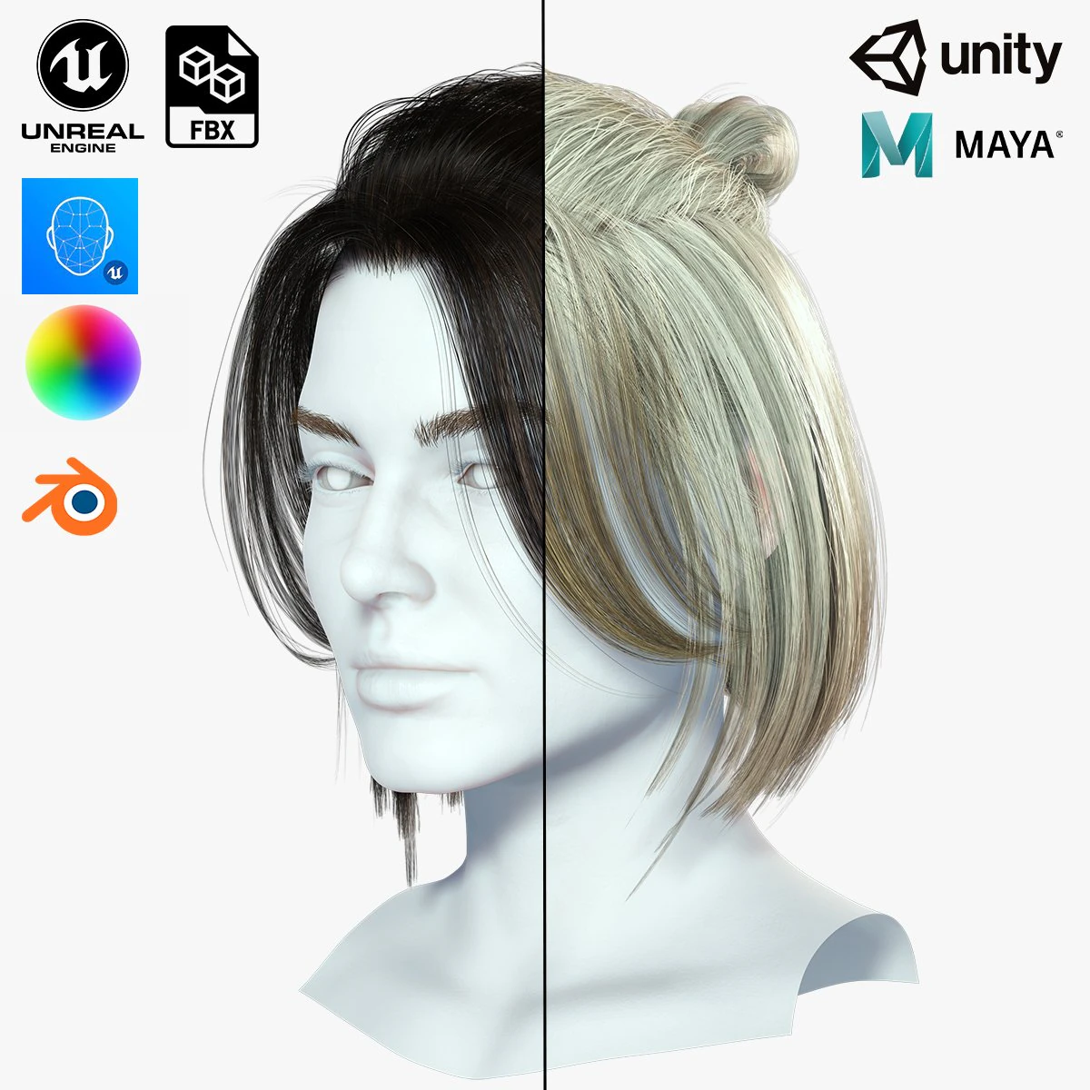 Realistic Female hair 7 Low-poly 3D Model .c4d .max .obj .3ds .fbx .stl .blend 