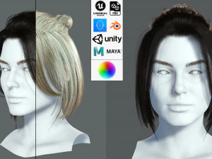 Realistic Female hair 7 Low-poly 3D Model