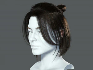 Realistic Female hair 7 Low-poly 3D Model