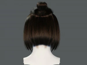 Realistic Female hair 7 Low-poly 3D Model