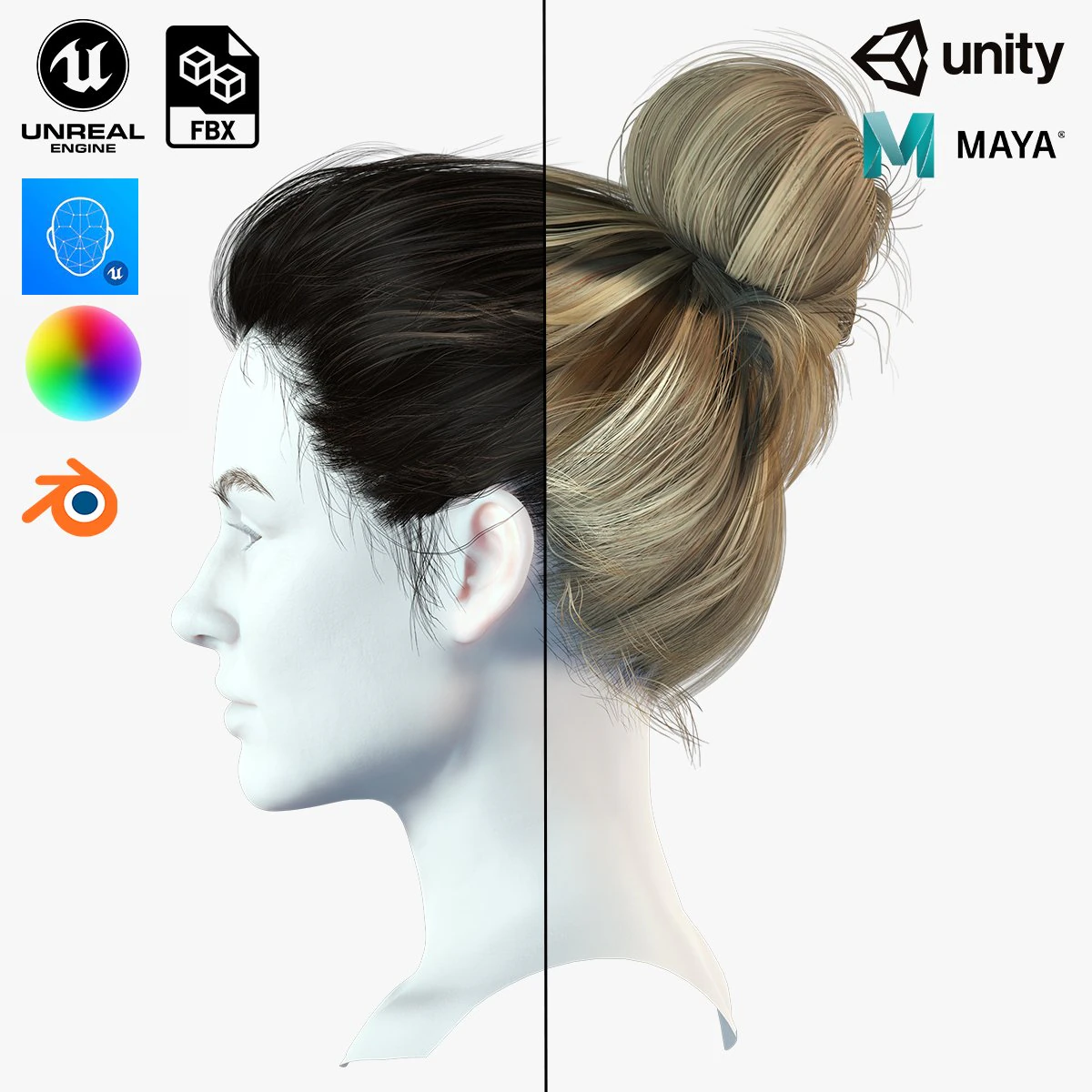 Realistic Female hair 8 Low-poly 3D Model .c4d .max .obj .3ds .fbx .stl .blend 