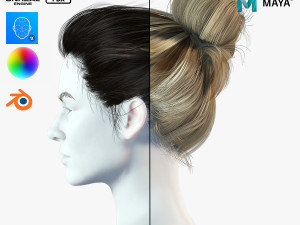 Realistic Female hair 8 Low-poly 3D Модель