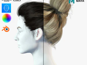 Gerçekçi Kadın saçı 8 Düşük Poli 3D Model