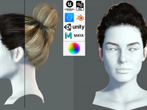 Realistic Female hair 8 Low-poly 3D Model