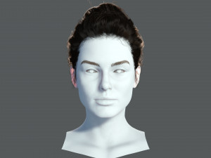 Realistic Female hair 8 Low-poly 3D 模型