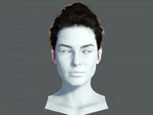 Realistic Female hair 8 Low-poly 3D Model