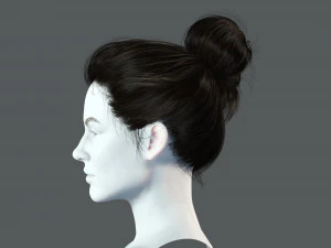 Realistic Female hair 8 Low-poly 3D Model