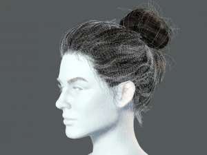 Realistic Female hair 8 Low-poly 3D Model