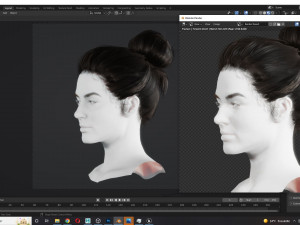 Realistic Female hair 8 Low-poly 3D 模型