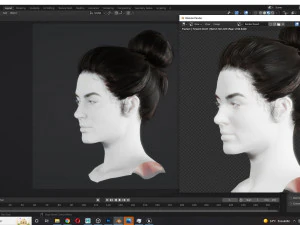 Realistic Female hair 8 Low-poly 3D Model