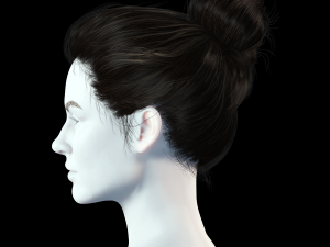 Realistic Female hair 8 Low-poly 3D 模型