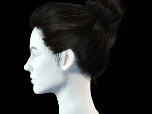 Realistic Female hair 8 Low-poly 3D Model