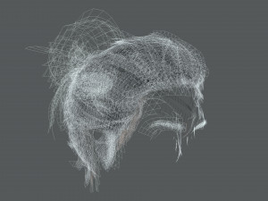 Realistic Female hair 8 Low-poly 3D 模型