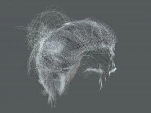 Realistic Female hair 8 Low-poly 3D Model