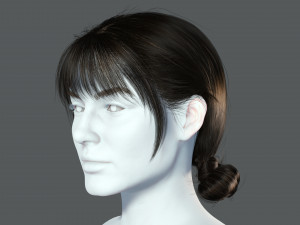Realistic Female hair 9 Low-poly 3D Model