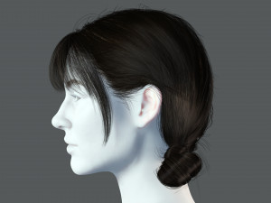Realistic Female hair 9 Low-poly 3D Model