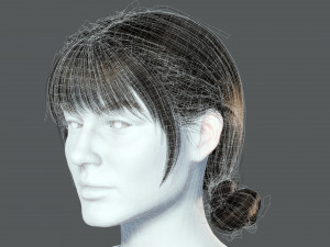 Realistic Female hair 9 Low-poly 3D Model