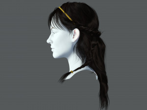 Realistic Female Hair Card 10 Low-poly 3D Model